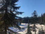 Winter View from the Balcony